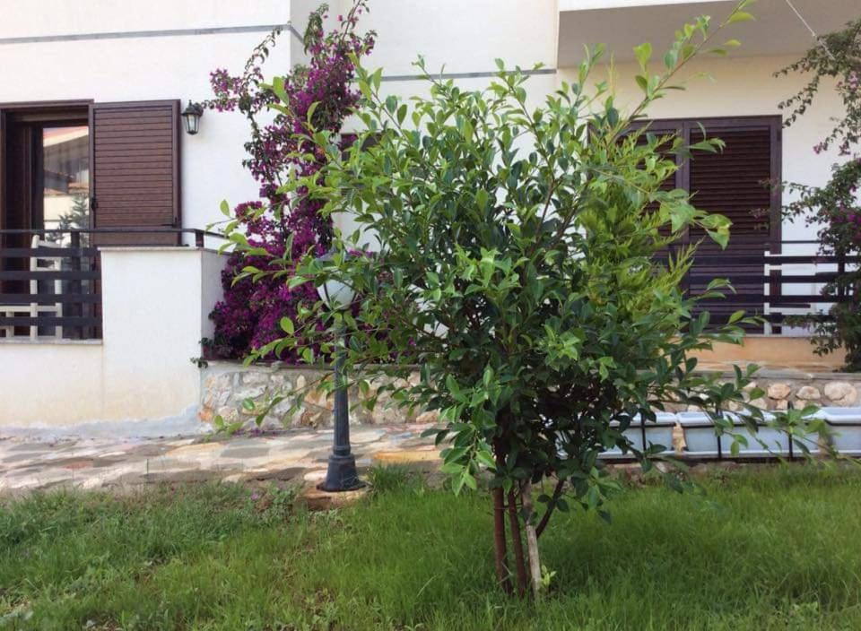Hotel Natali Dhërmi Dış mekan fotoğraf